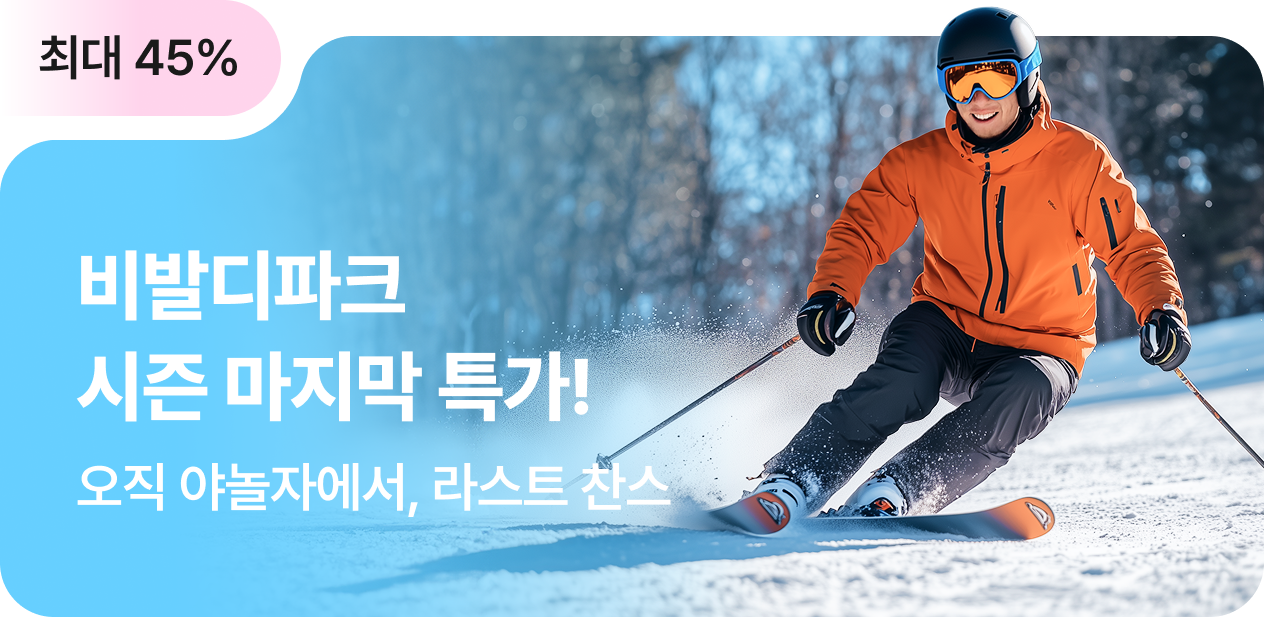 [놀거리] 비발디파크